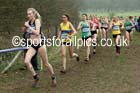Senior womens Inter Counties Cross Country, Prestwold Hall, Loughborough. Photo: David T. Hewitson/Sports for All Pics